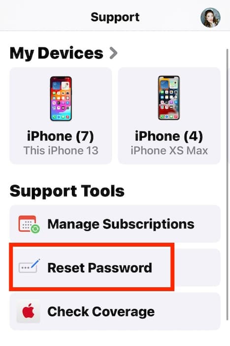 Reset Password Through Support App of iPhone