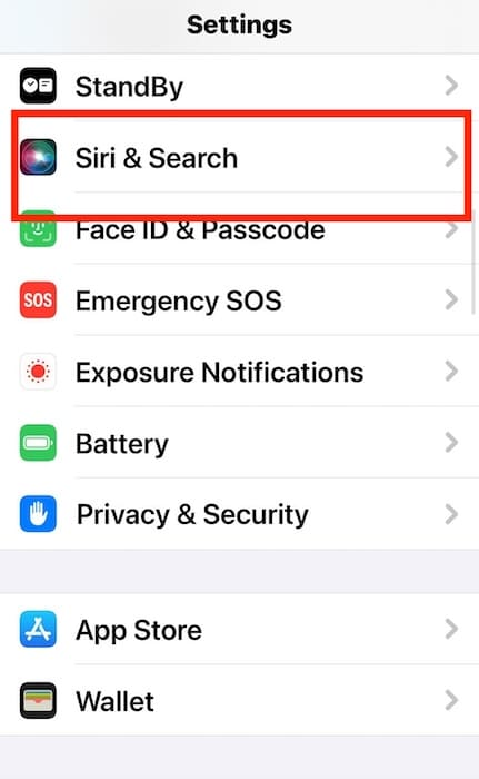 The Siri and Search Section Settings on iOS