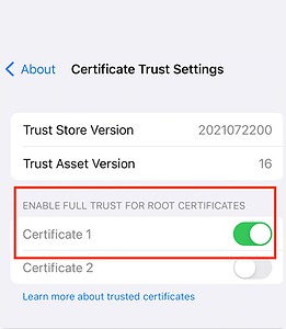 iOS 17: How to Remove Certificate From iPhone - The Mac Observer