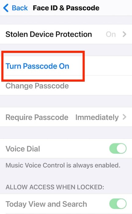 Turn Passcode on Option for iOS Device