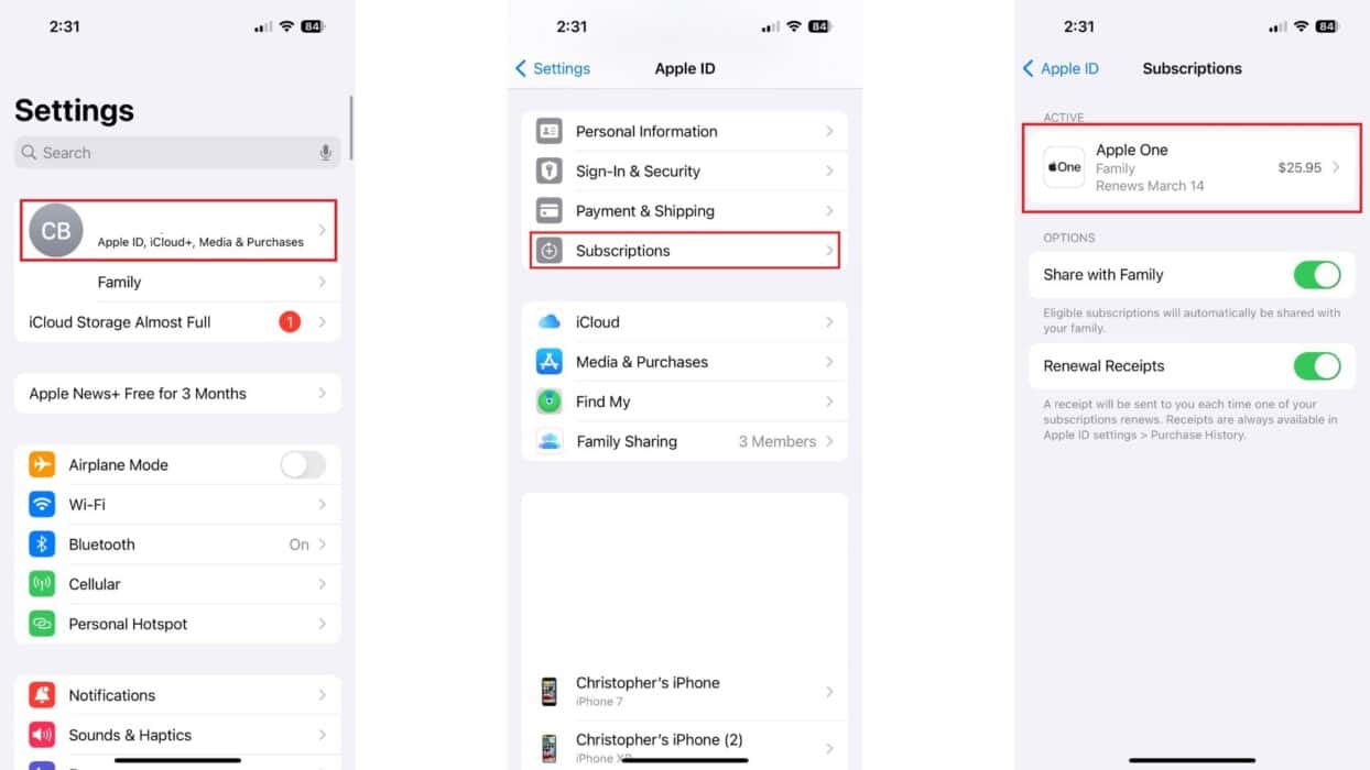 Open subscriptions in iPhone Settings app