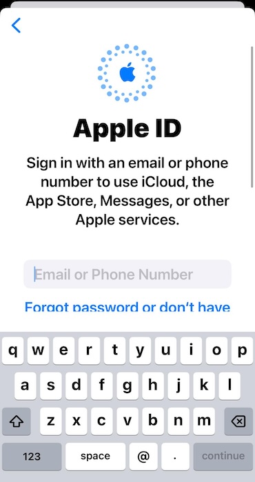 Enter Your Apple ID Login Credentials on iPhone