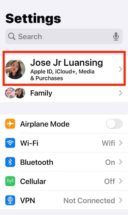 Opening Apple ID Profile on iOS Settings