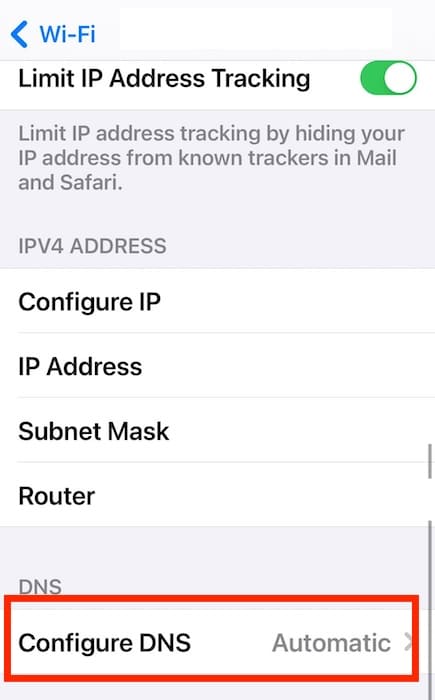 Configure DNS Server Option on iOS Device