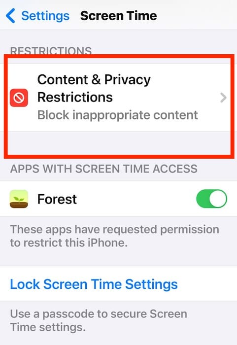 Opening Content and Privacy Restriction Settings on iOS