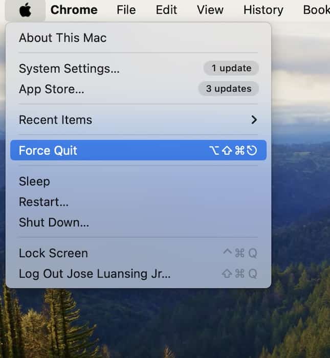 Clicking Force Quit on the Apple Menu Icon