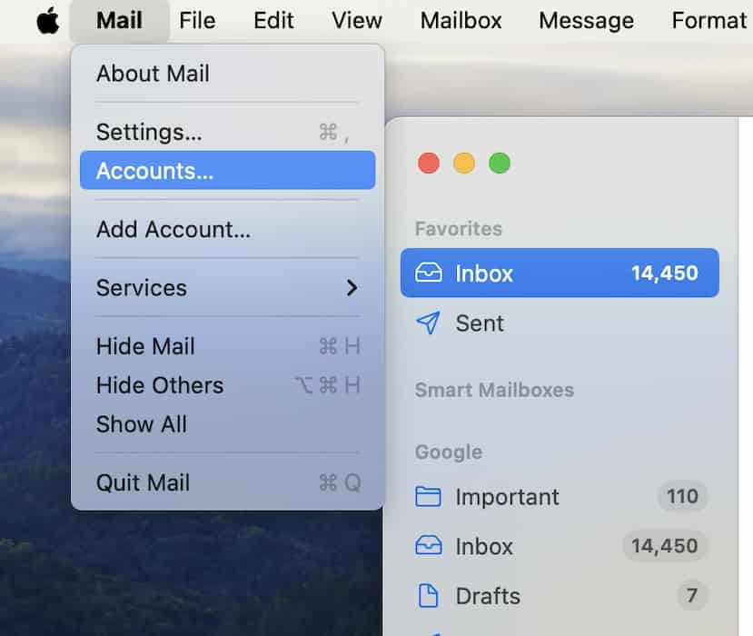 Clicking Accounts on Mail App Settings