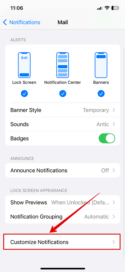 Select Customize Notifications