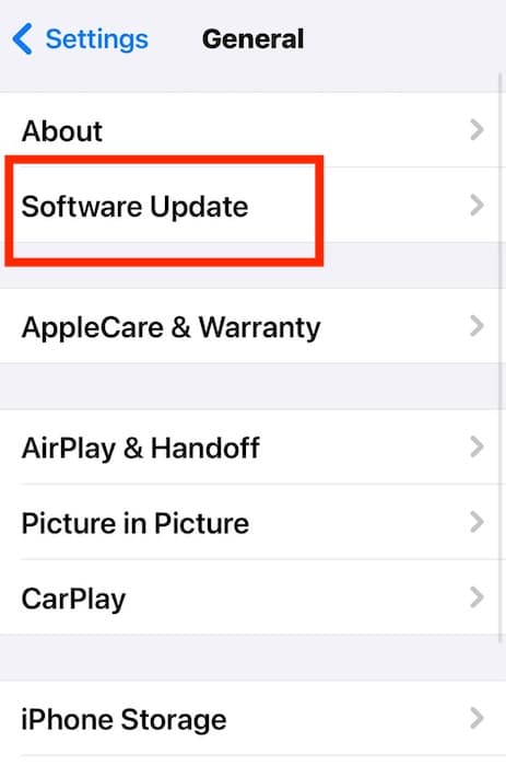 Software Update Option for iOS Device