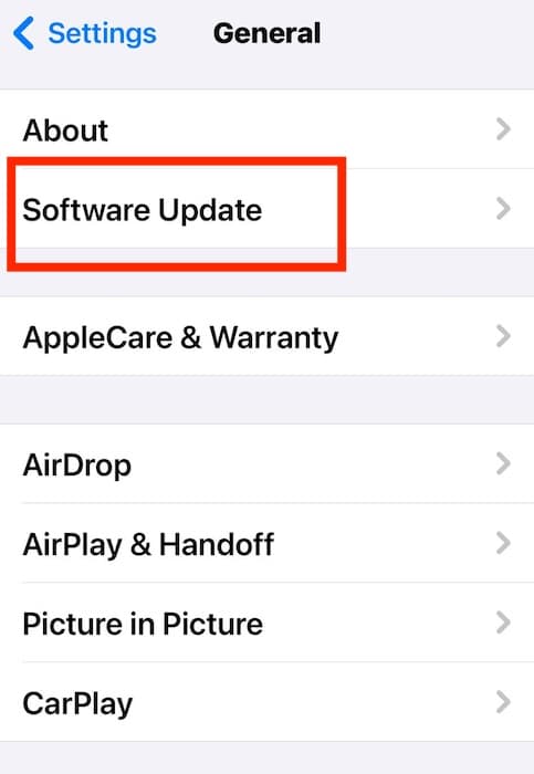Opening the Software Update Section on iOS