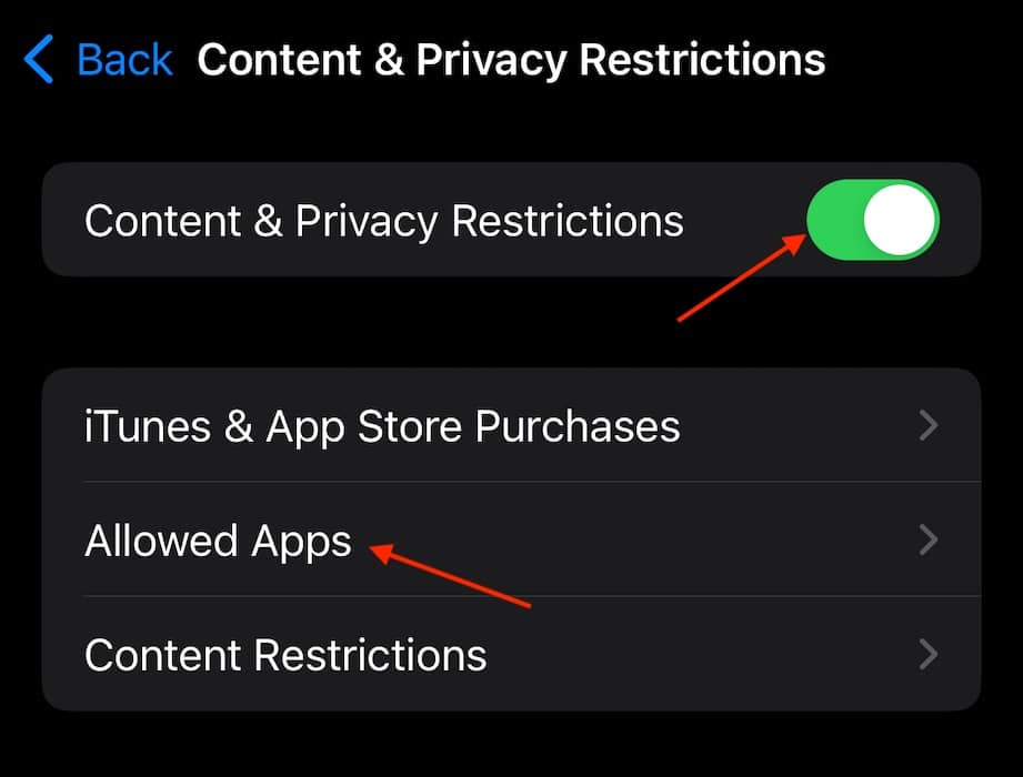 Stop Apple Music Connected Car Allowed Apps