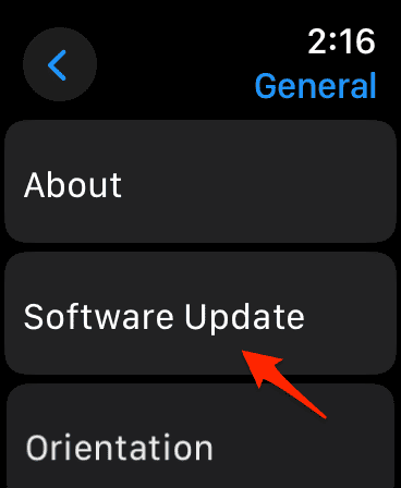 software update apple watch