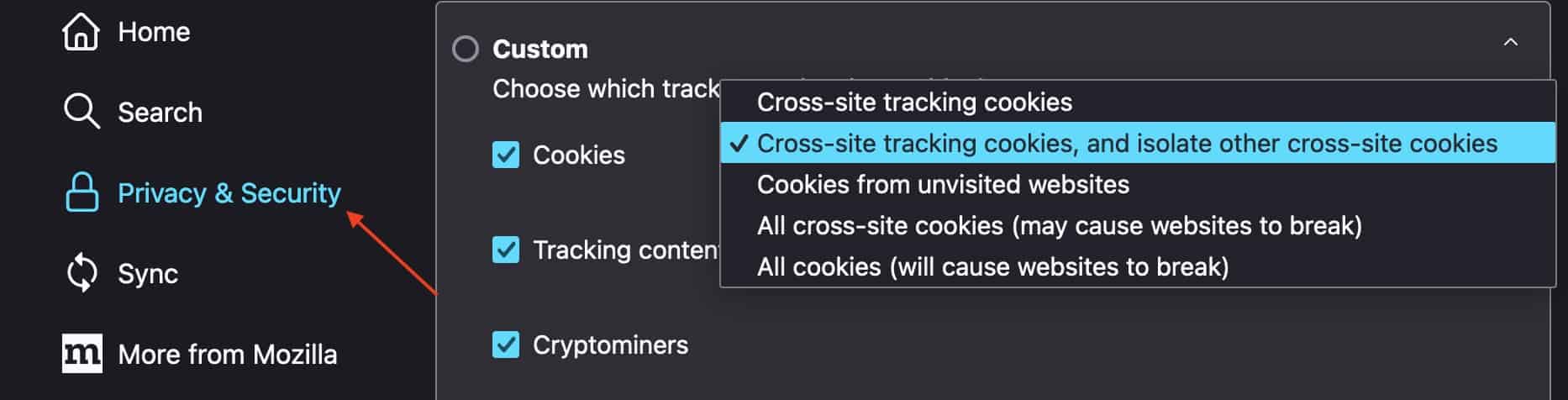 Allow Third Party Cookies Mac Custom Privacy and Security