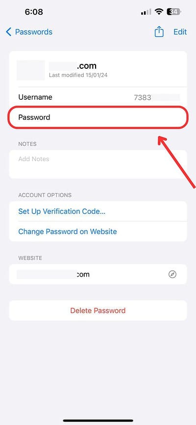 Apple ID password reveal