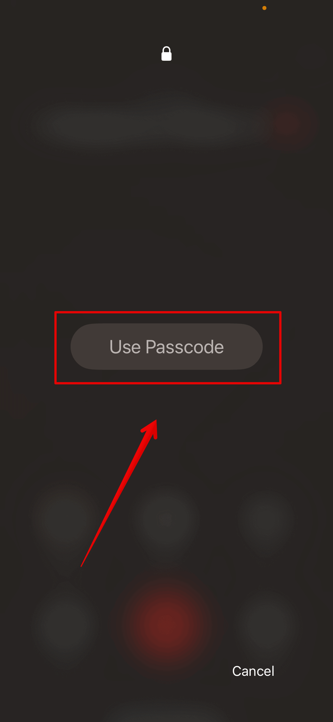 Enter iPhone passcode