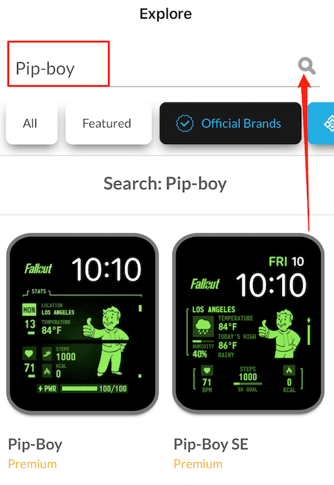 Look for Pip-Boy in the Facer app