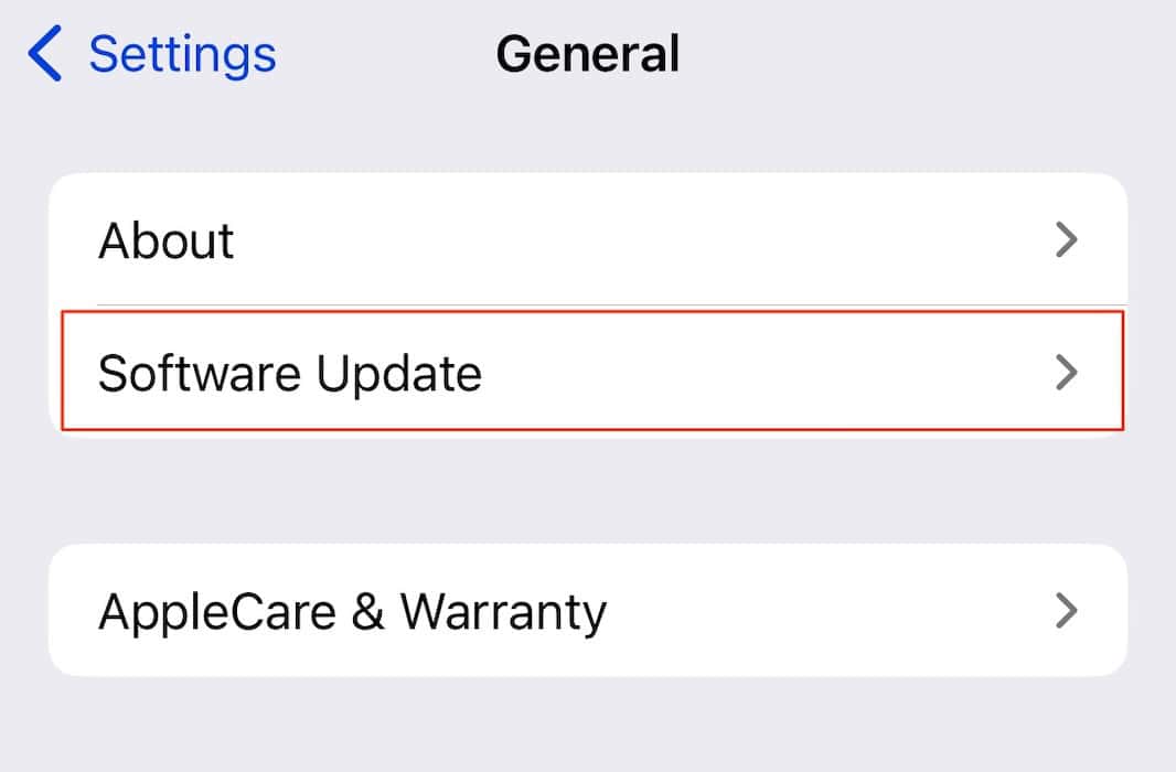 Choose the Software Update tab in your iPhone Settings