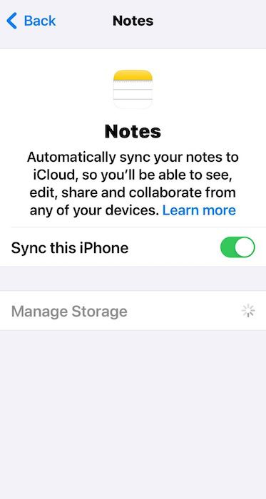 Configuring Notes Sync this iPhone