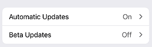 Tap Automatic Updates on iOS