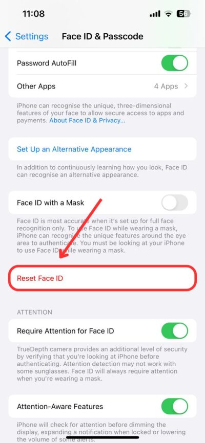 Then Tap on Reset Face ID
