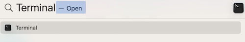 Choose Terminal in Spotlight