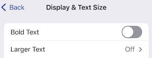 Select the option to enlarge text in iOS Settings