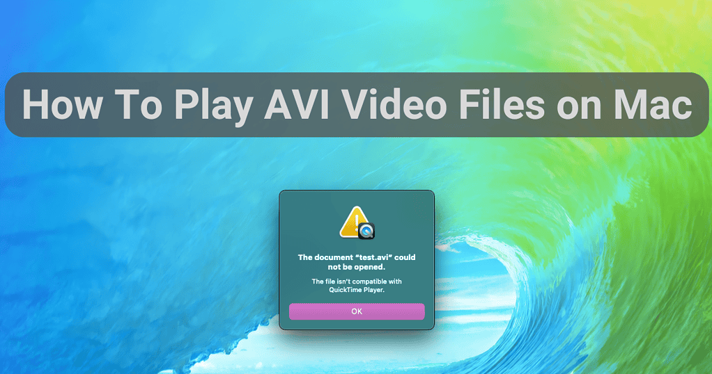 How To Play AVI Video Files on Mac [5 Solutions] - The Mac Observer