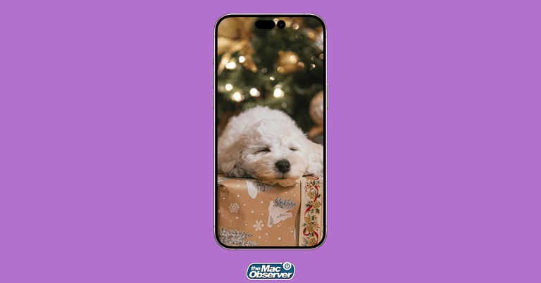 8-best-christmas-animal-wallpapers-for-iphone-to-brighten-your-holiday