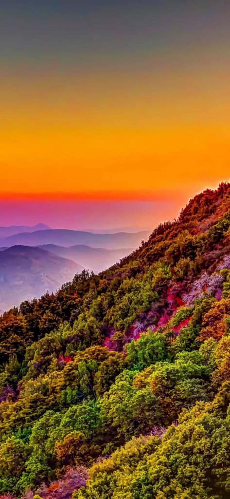 iphone wallpaper showing the colors of nature