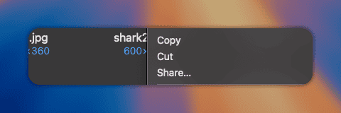 macOS Finder context menu showing Cut, Copy, and Share actions