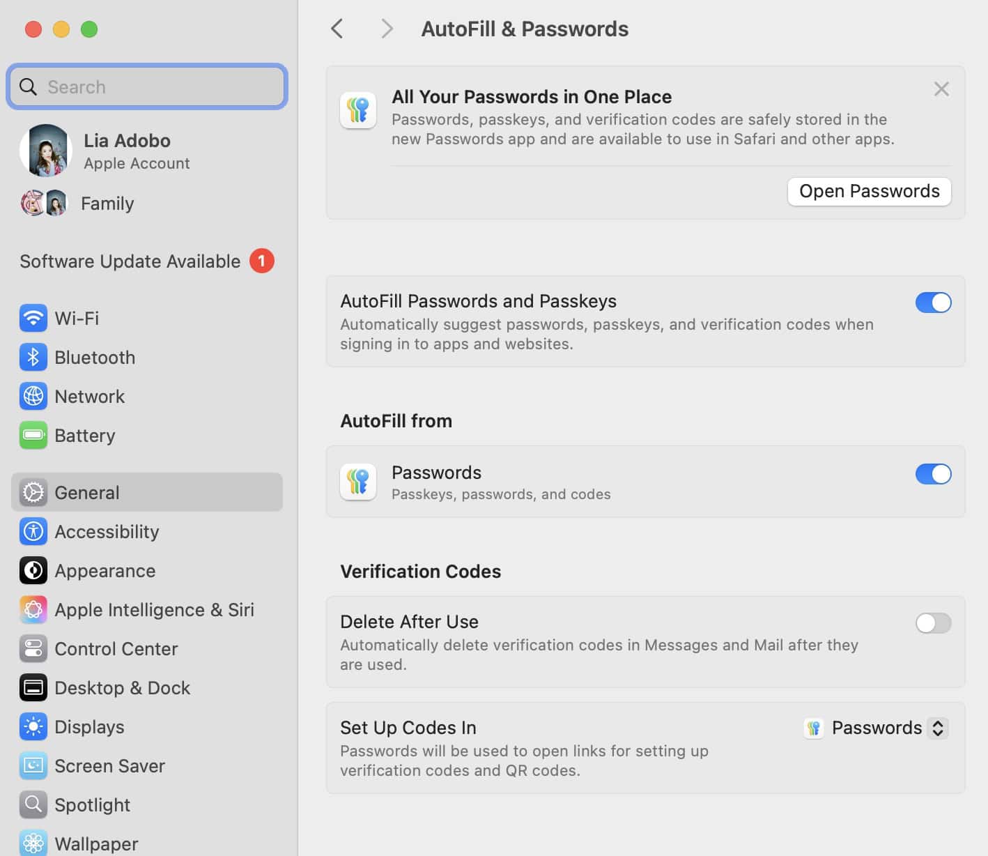 Passwords-Settings-on-Mac