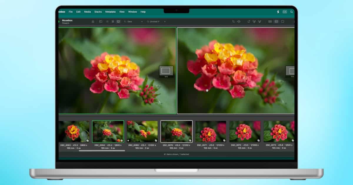 Review: Musebox Is the Digital Asset Manager You Didn't Know You Needed