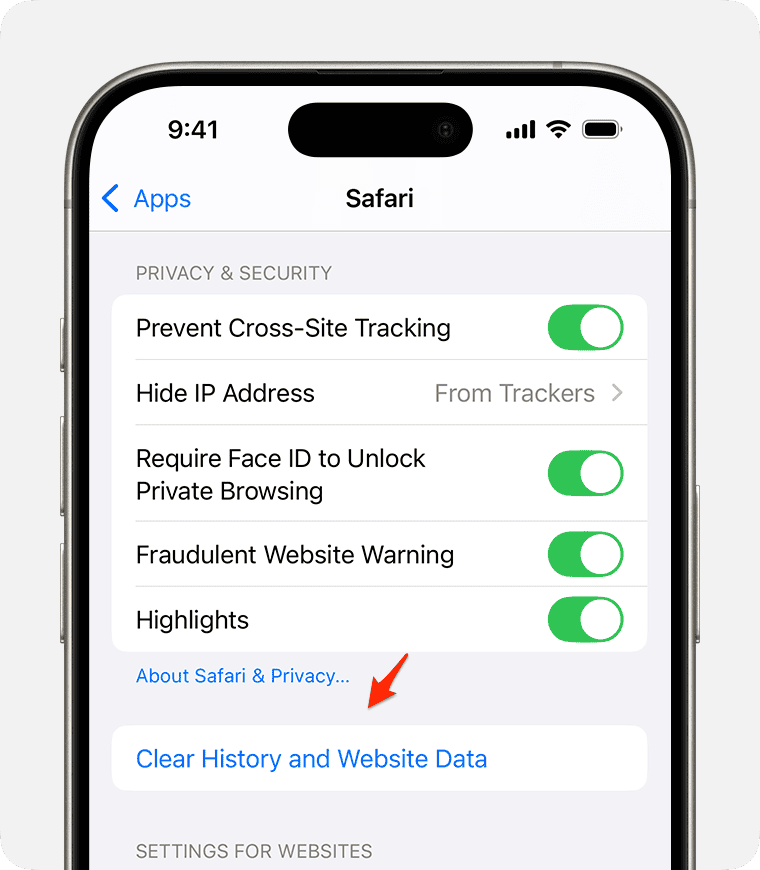 clear history and website data