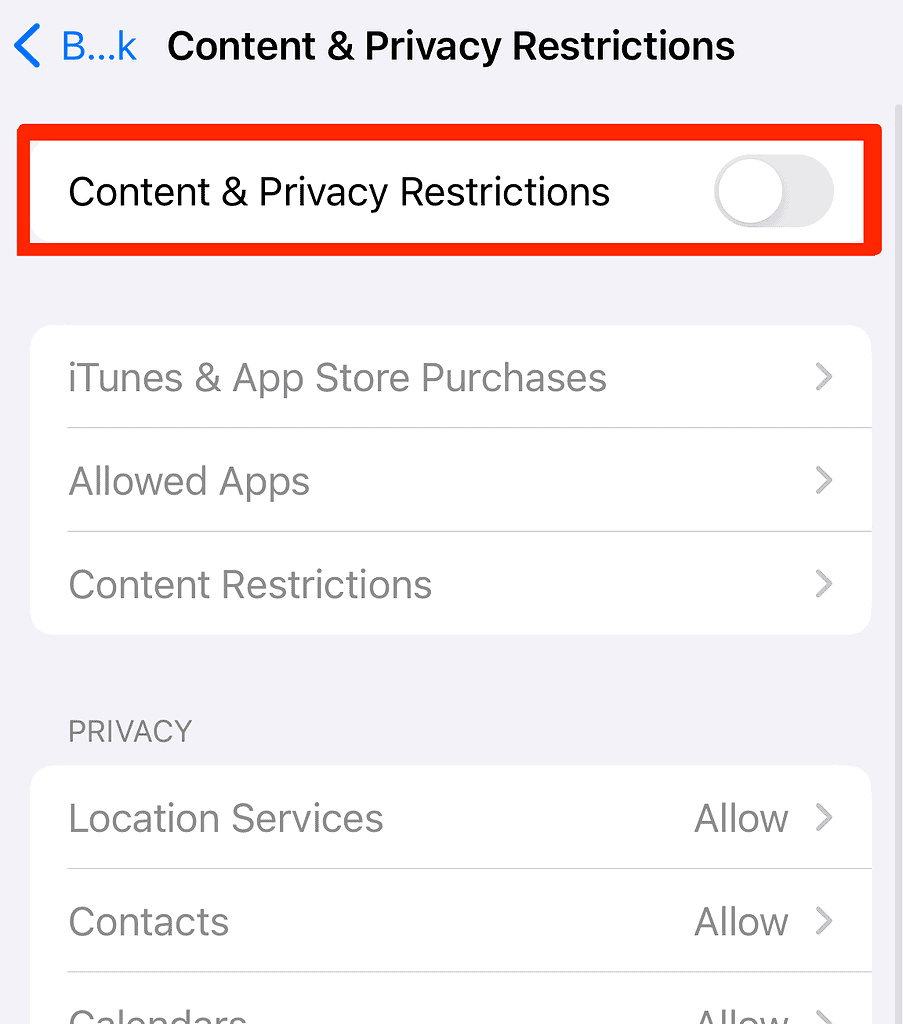content and privacy restrictions iphone