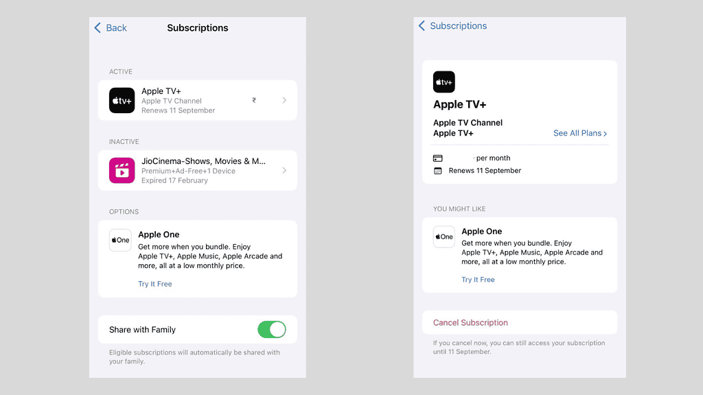 how to cancel subscriptions iphone
