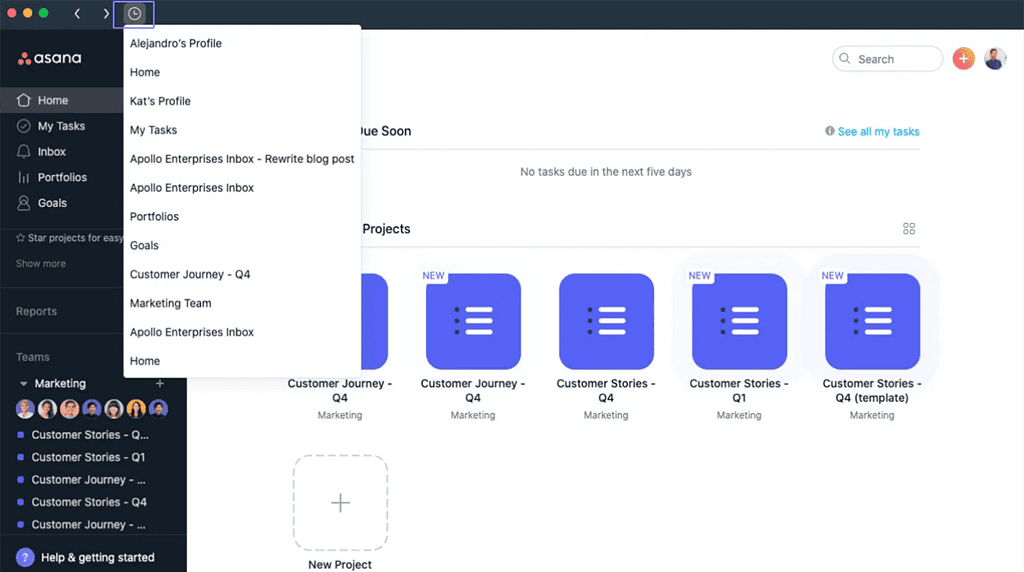 asana project management software for mac