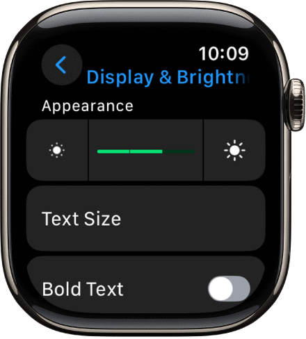 Display & Brightness apple watch