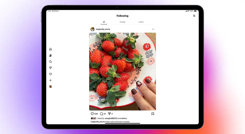 Instagram for iPad all 