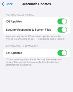 How to Update iOS/iPadOS [Step-by-Step Guide]