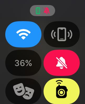 control center on apple watch