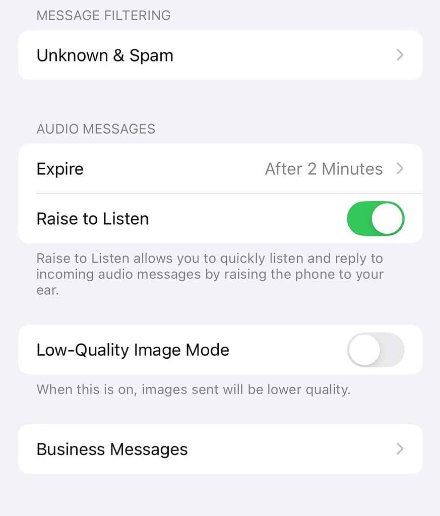 iMessage: Save Voice Message in Chat [3 Ways]