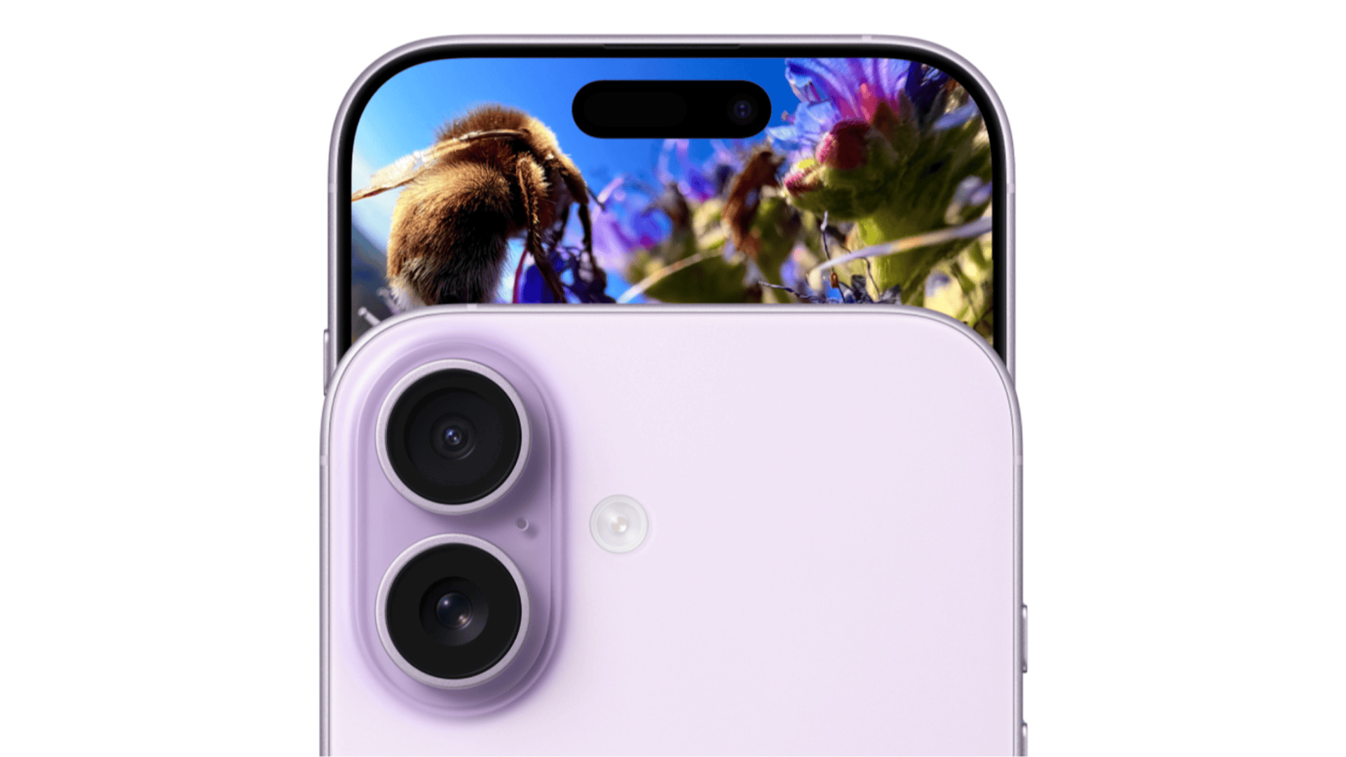 IPhone 17 Camera What s New And Why It Matters