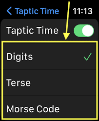 taptic_time settings 