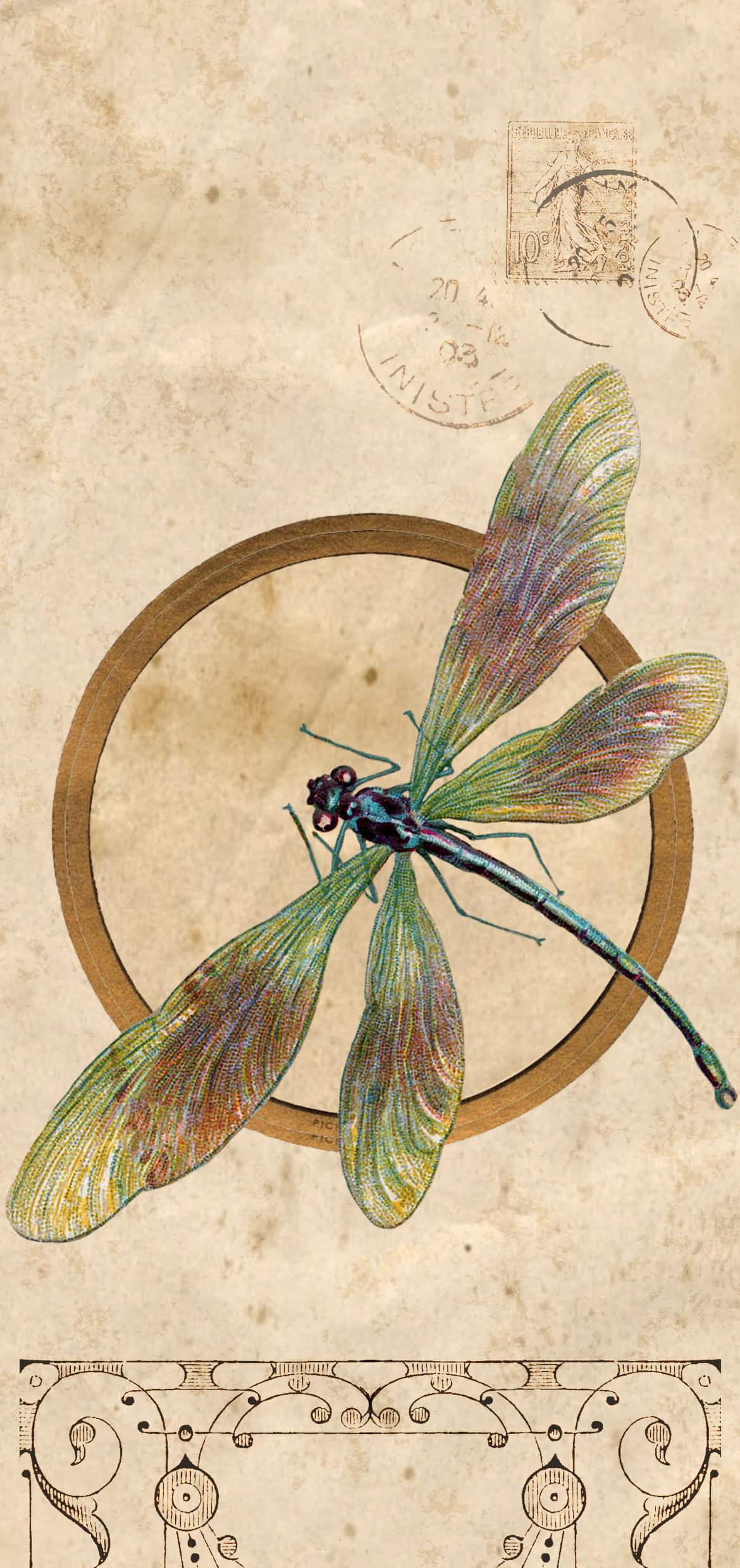 Vintage Dragonfly Sketch Wallpaper
