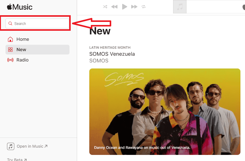 Apple Music Search bar