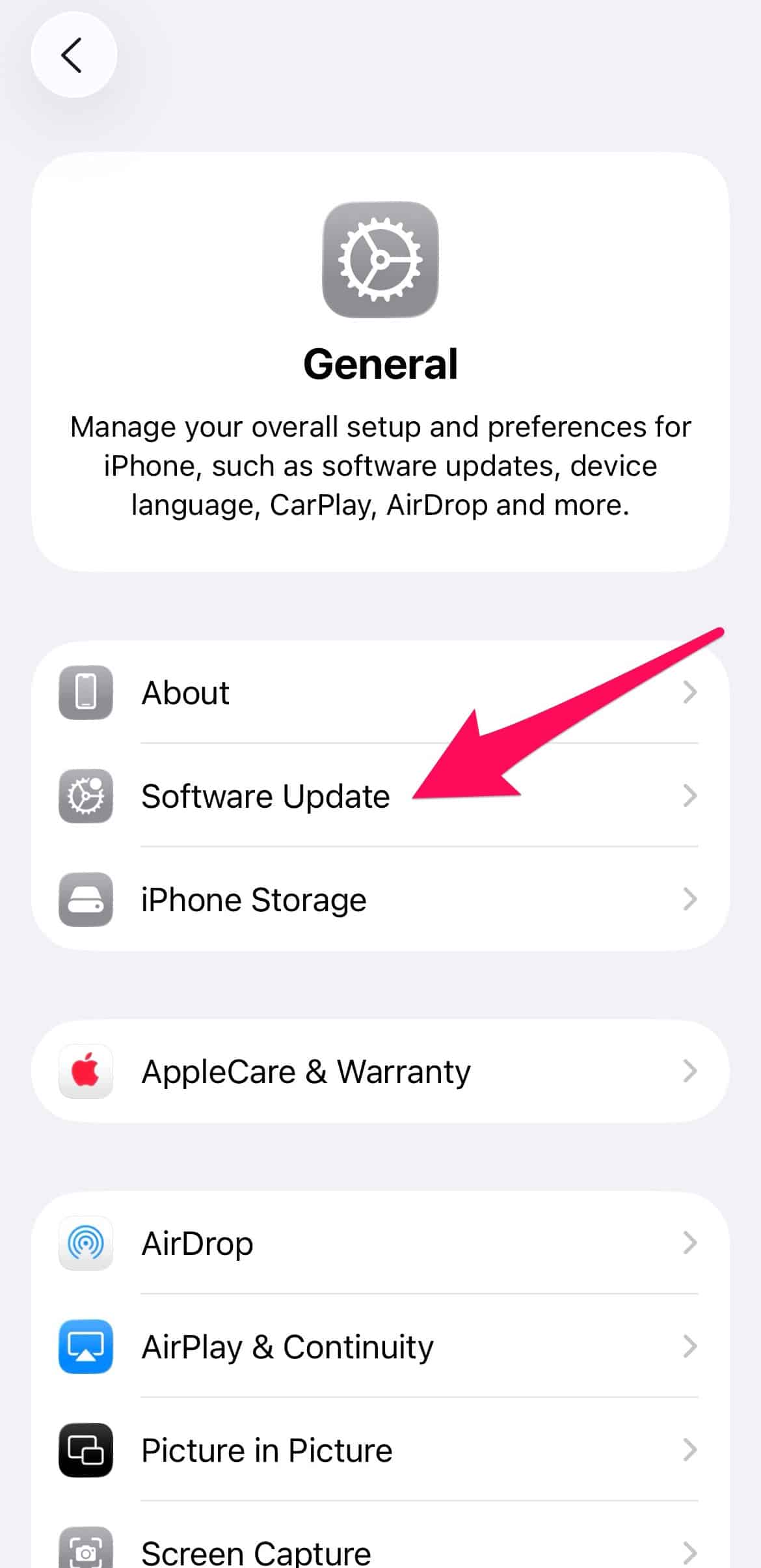 The “Software Update” option in iPhone settings