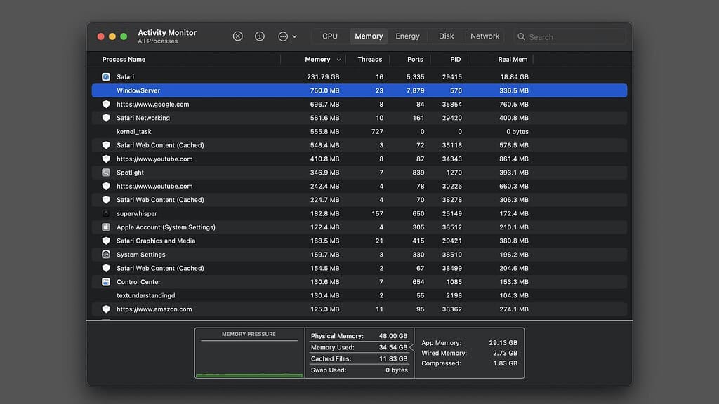 Safari 26 update leaks memory