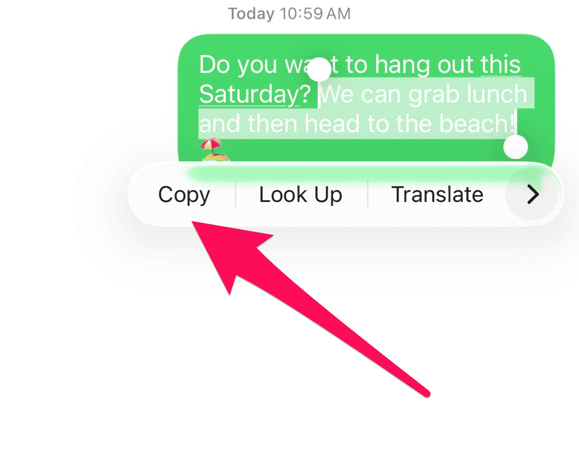 Tap Copy in the floating toolbar