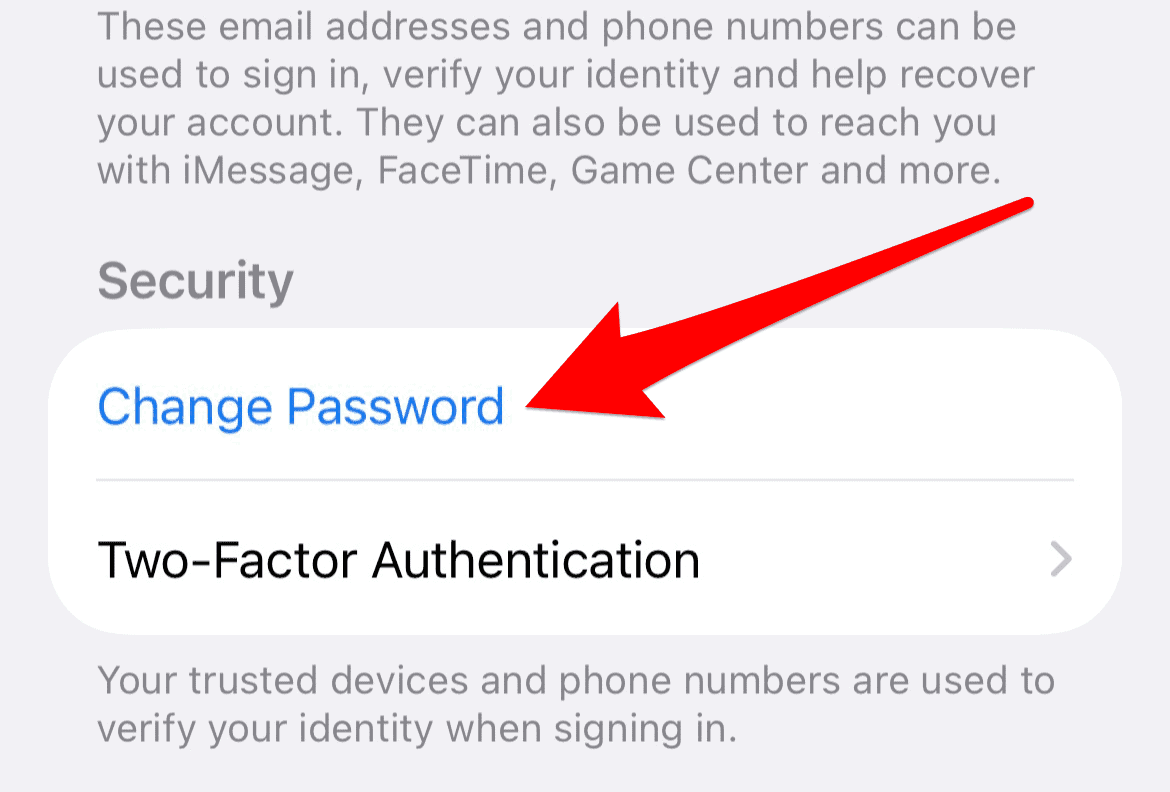 The Change Password option in iPhone settings
