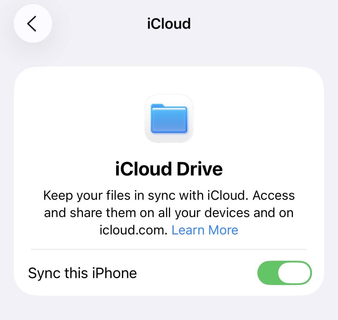 The Drive toggle in iCloud settings on iPhone
